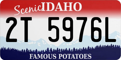 ID license plate 2T5976L