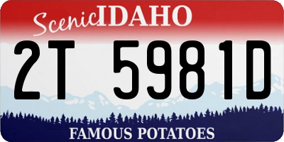 ID license plate 2T5981D