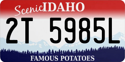 ID license plate 2T5985L
