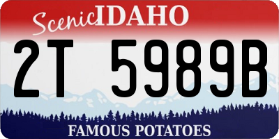 ID license plate 2T5989B