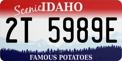 ID license plate 2T5989E