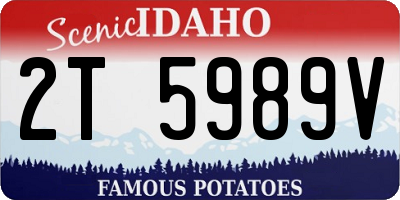 ID license plate 2T5989V