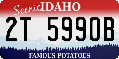 ID license plate 2T5990B