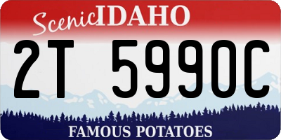 ID license plate 2T5990C