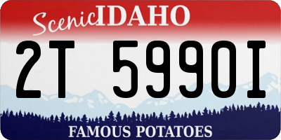 ID license plate 2T5990I