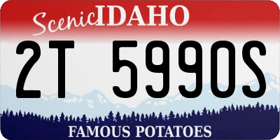 ID license plate 2T5990S