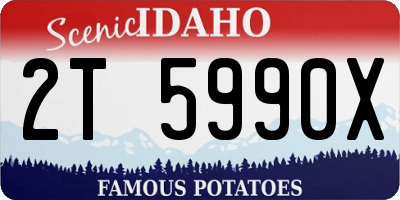 ID license plate 2T5990X