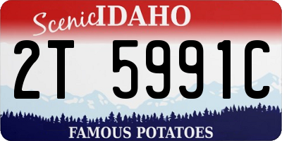 ID license plate 2T5991C