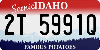 ID license plate 2T5991Q