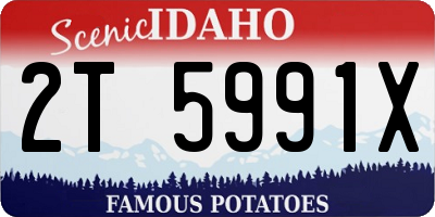 ID license plate 2T5991X