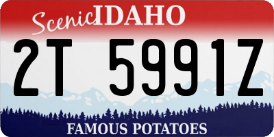 ID license plate 2T5991Z