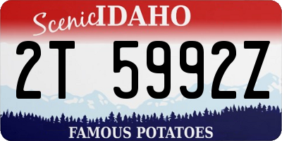 ID license plate 2T5992Z