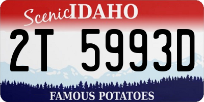 ID license plate 2T5993D