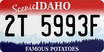 ID license plate 2T5993F