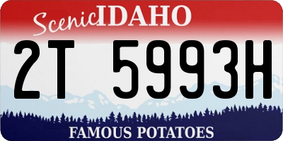 ID license plate 2T5993H