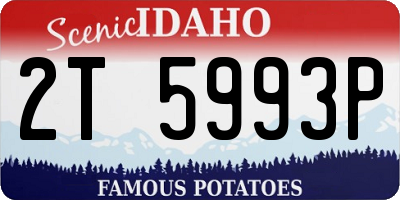 ID license plate 2T5993P