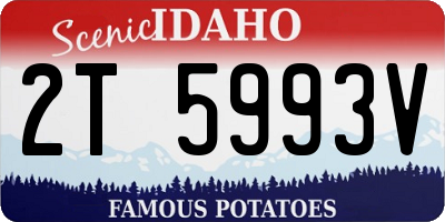 ID license plate 2T5993V