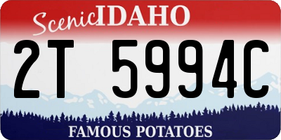 ID license plate 2T5994C