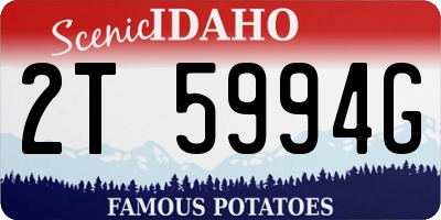 ID license plate 2T5994G