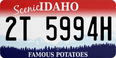 ID license plate 2T5994H
