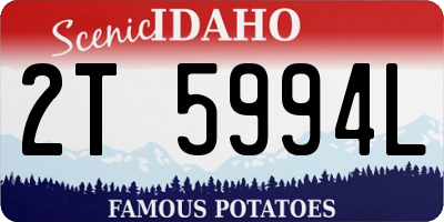 ID license plate 2T5994L