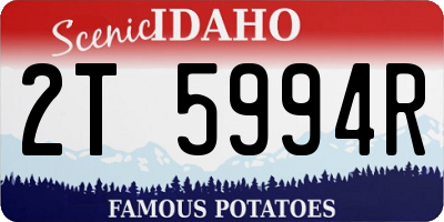 ID license plate 2T5994R