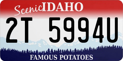 ID license plate 2T5994U