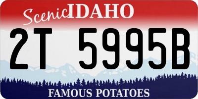 ID license plate 2T5995B