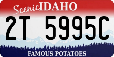 ID license plate 2T5995C