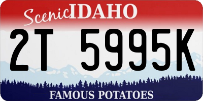 ID license plate 2T5995K