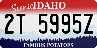 ID license plate 2T5995Z
