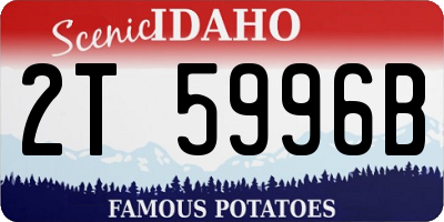ID license plate 2T5996B