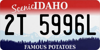 ID license plate 2T5996L