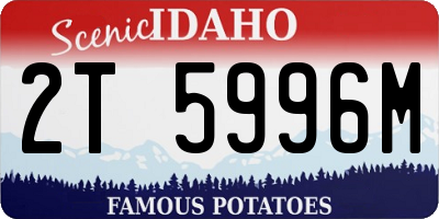 ID license plate 2T5996M
