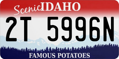 ID license plate 2T5996N