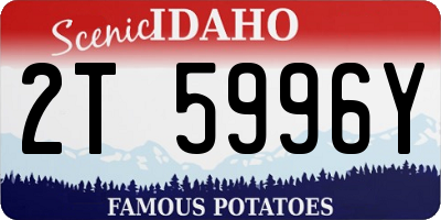 ID license plate 2T5996Y