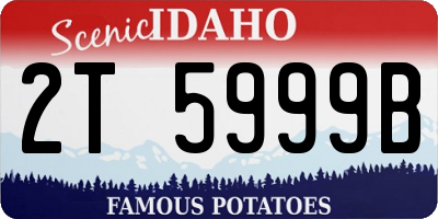 ID license plate 2T5999B