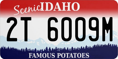 ID license plate 2T6009M