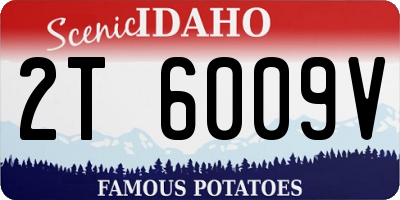 ID license plate 2T6009V