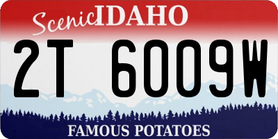 ID license plate 2T6009W