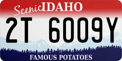 ID license plate 2T6009Y