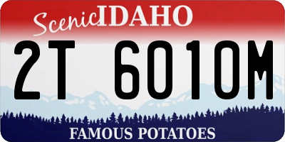 ID license plate 2T6010M