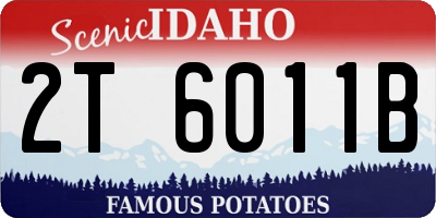 ID license plate 2T6011B