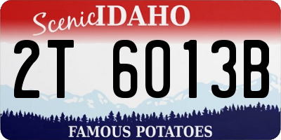 ID license plate 2T6013B