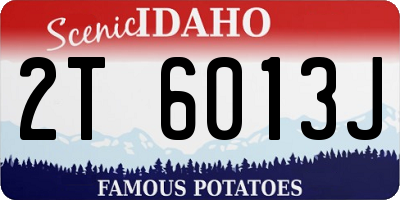 ID license plate 2T6013J
