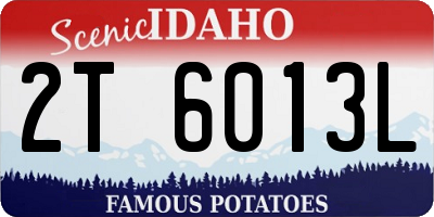 ID license plate 2T6013L