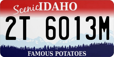 ID license plate 2T6013M