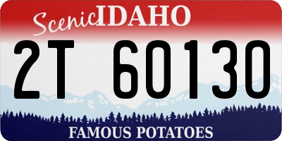 ID license plate 2T6013O
