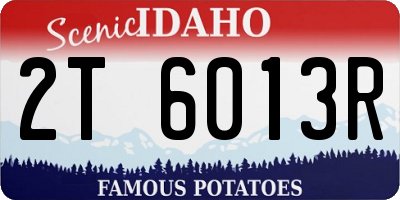 ID license plate 2T6013R