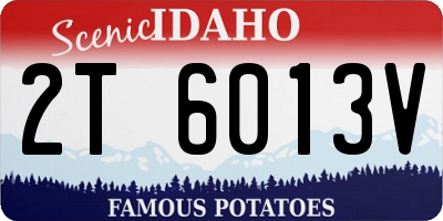 ID license plate 2T6013V